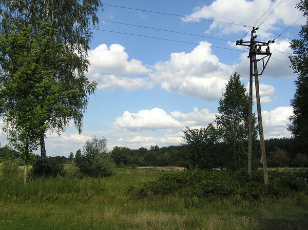 Rural area electricity pylon