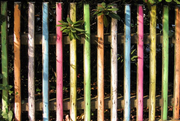 colourful fence