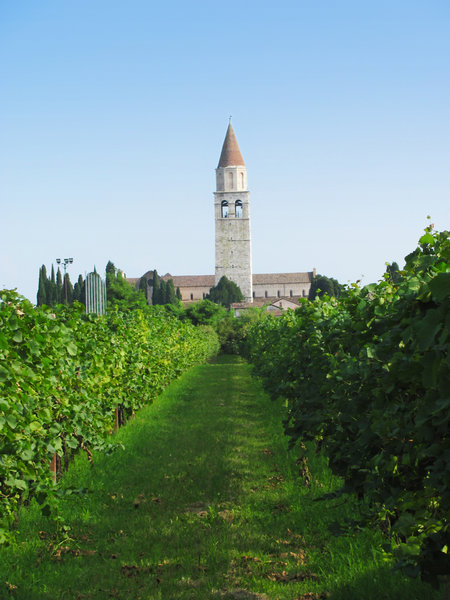 vineyard & church steeple