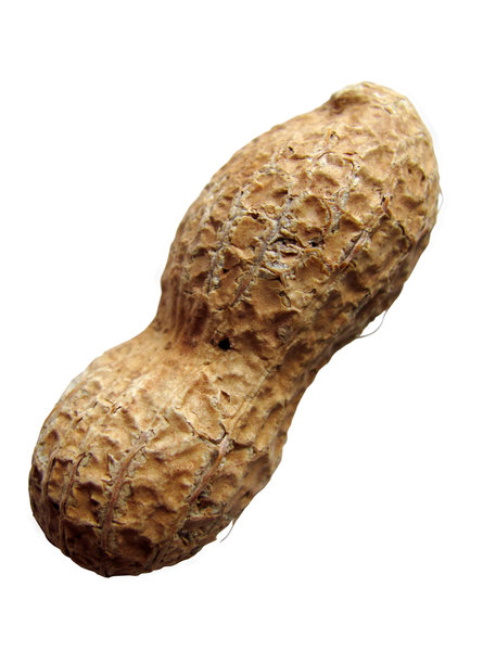 peanut: 