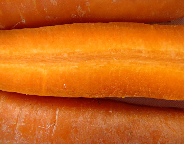 carrot colour
