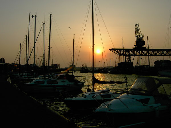 harbor morning