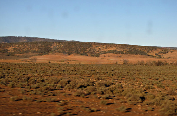 dry brown land