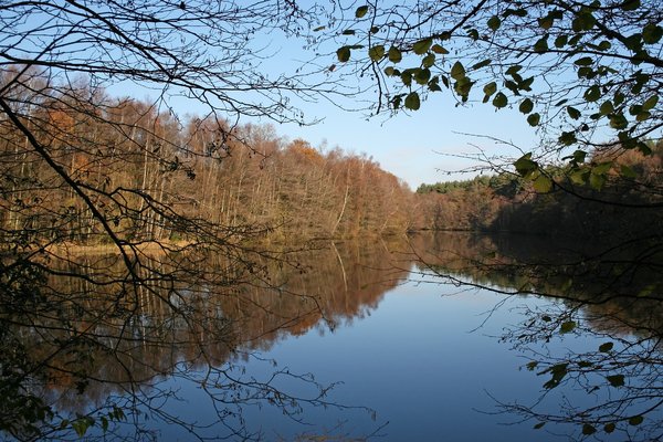 Sussex pond