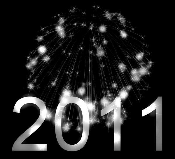 2011 New Year 6