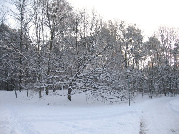 idyllic winter scenery
