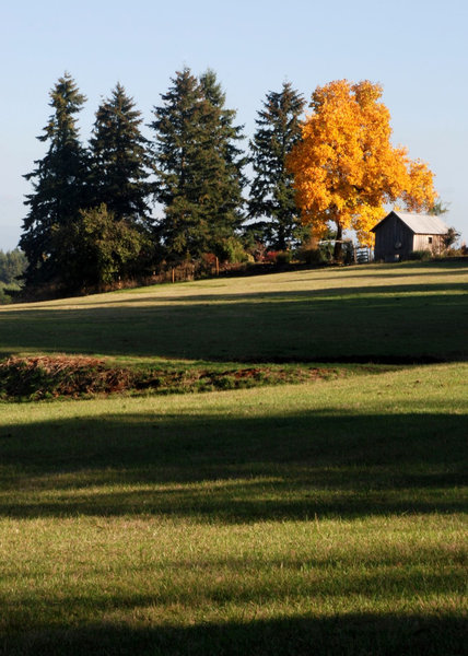 Farm in the Fall: Shot outside of Portland, Oregon in 2009.