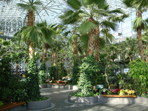 Tropical Arboretum
