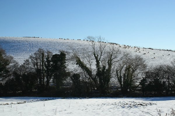 Winter hillside