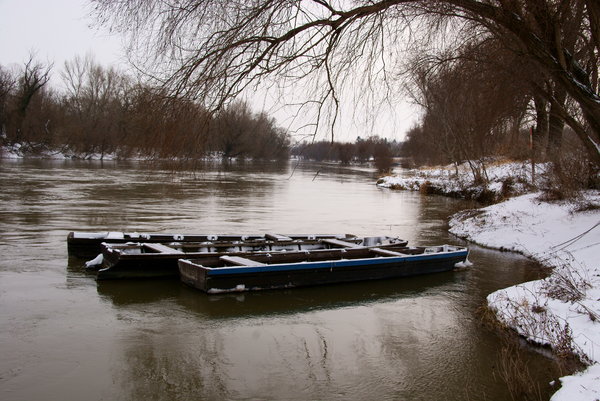 Winter at the Danube