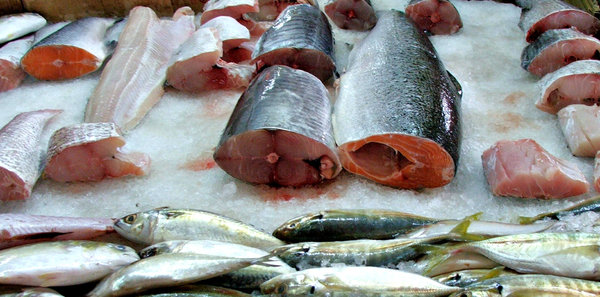 at the fish market