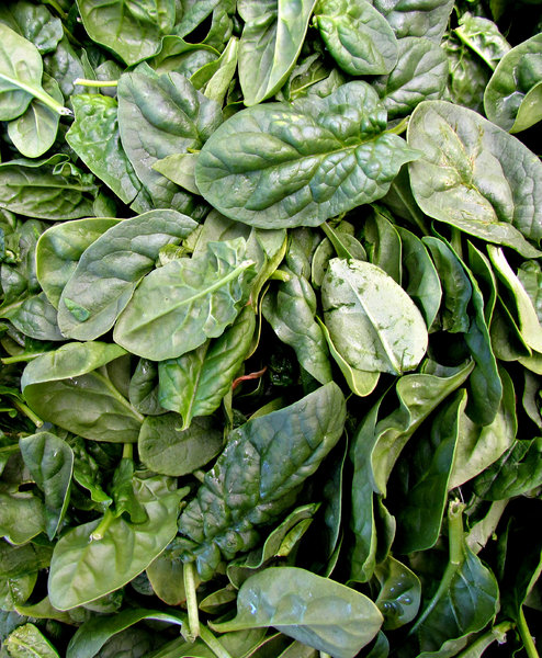 baby leaf spinach