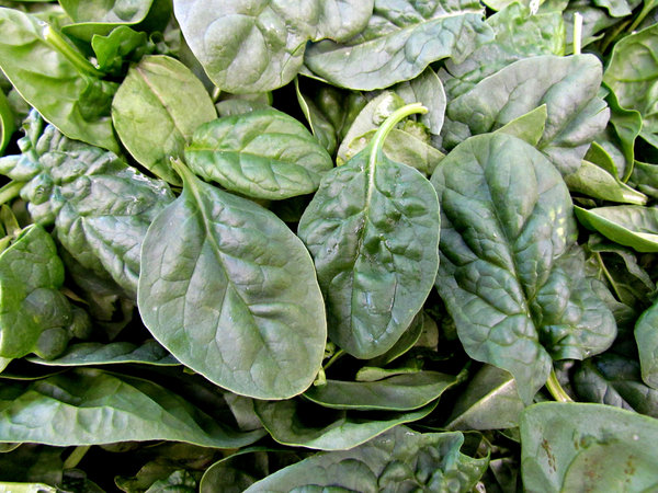 baby leaf spinach
