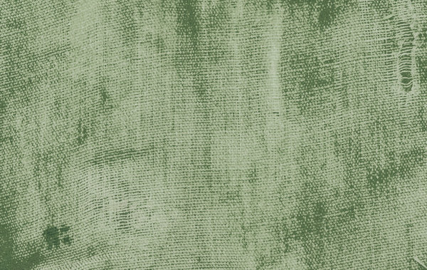 Old Fabric 4: Various colours on vintage fabric.This image is not a photograph. It was created using a scanner and photo manipulation on a computer.