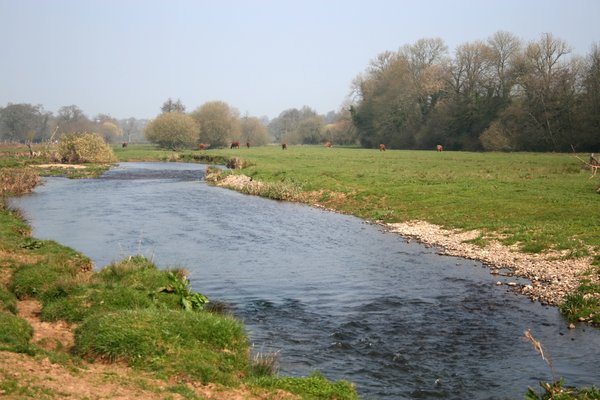 Devon river