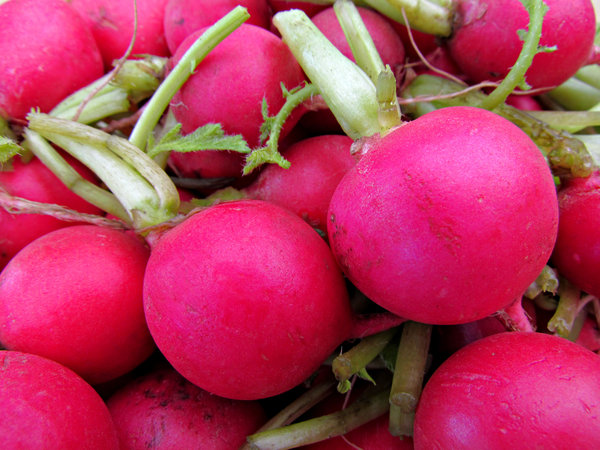 round red radishes