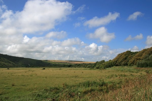 Sussex landscape