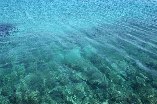 Clear sea, rocky floor: Clear blue seawater over a rocky floor in the Maddalena Islands, Sardinia.