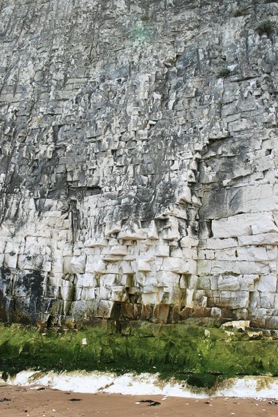 Chalk cliff face