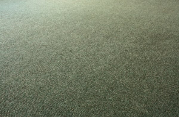 Carpet texture: Carpet texture