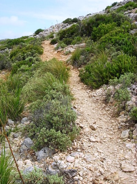 Hilltop path