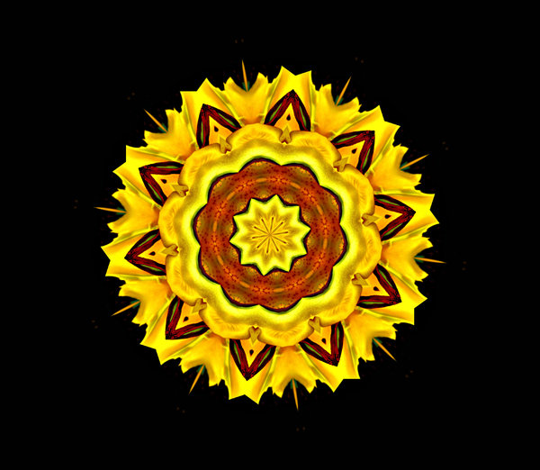 golden star flower 2