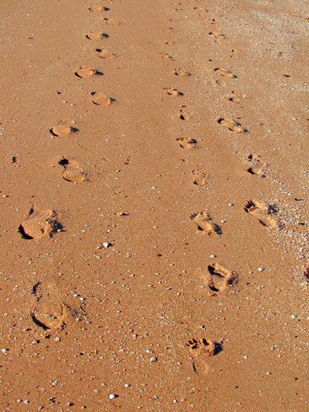 footprints - coming & going
