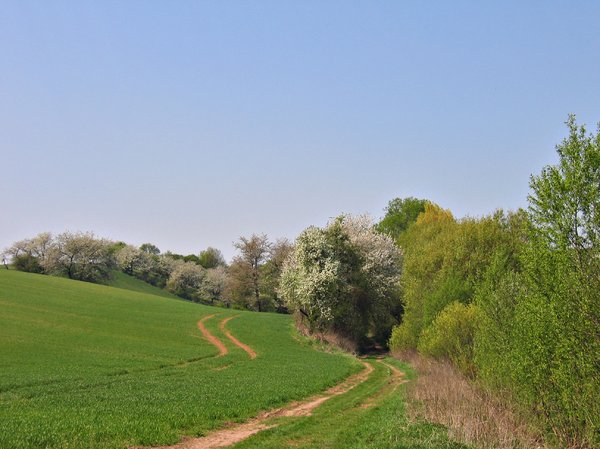 spring landscape in the hills 