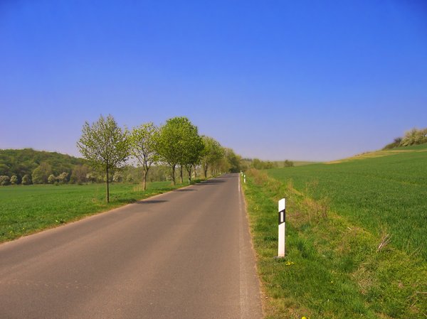 country highway in spring