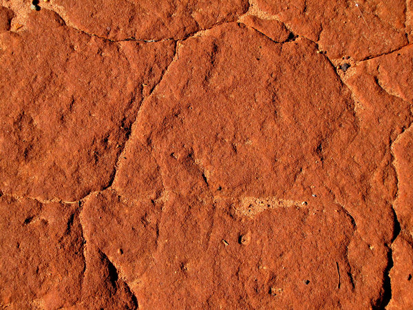 red pindan soil: red Australian pindan soil