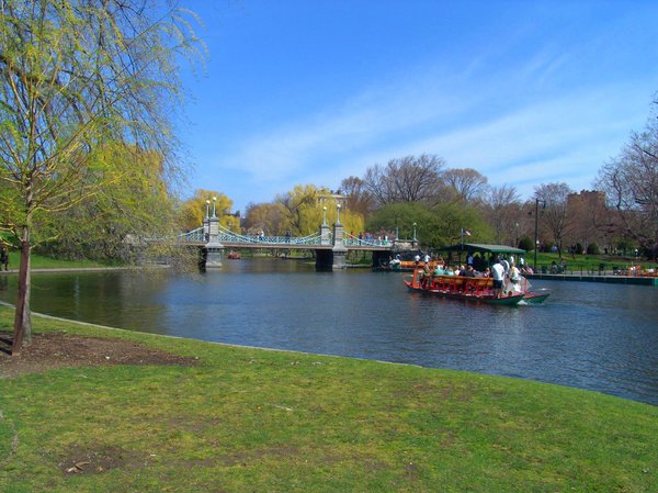 Bridge and Swan Boats