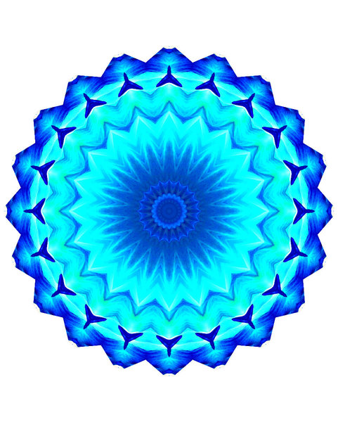 blue alien flower