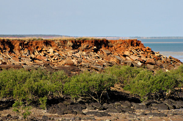 onshore rubble & rocks: beach outcrop with dumped builders' rubble, natural rock formations and mangroves growing on waterline
