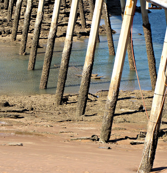 jetty support: angles and perspective of long jetty showing its pylons or support legs
