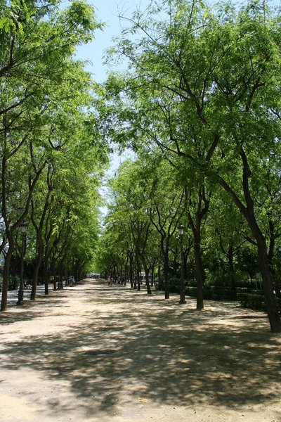 Green avenue