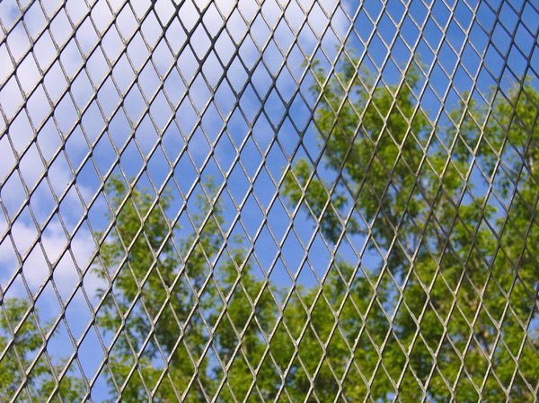 trapped nature texture