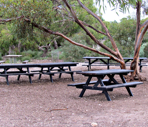 picnic area