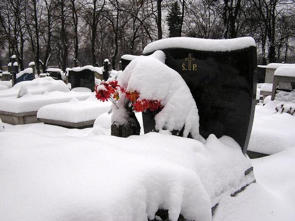 Cemetery in winter