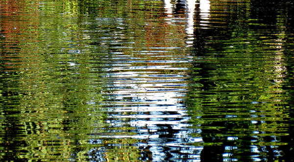 pool reflections5