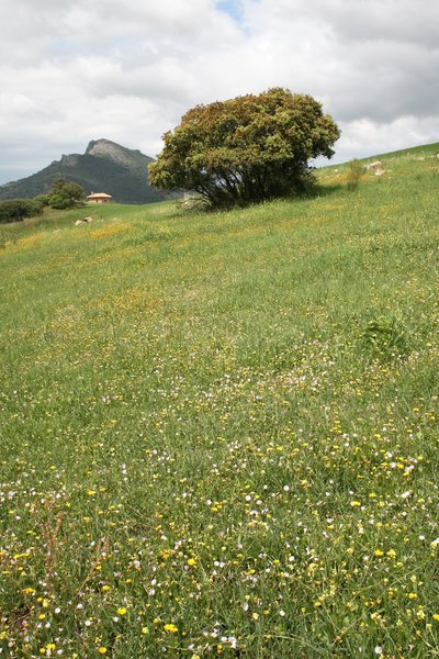Rural Andalucia 3