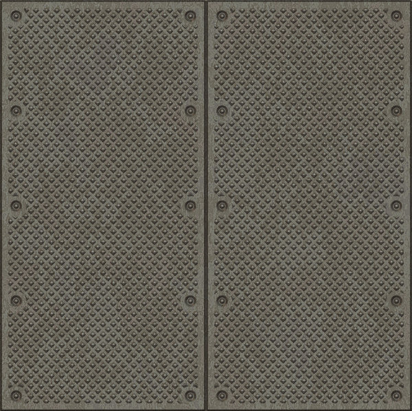 Metal Plate: Textured metal plate with rivets. A great texture, backdrop, or fill for when you want an industrial grunge feel. A high resolution image.