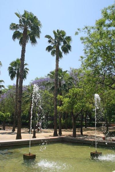 Fountains in the park