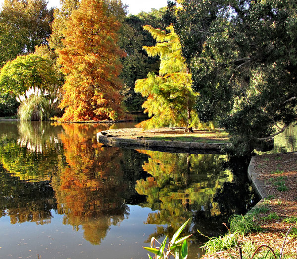 park lake autumn reflections