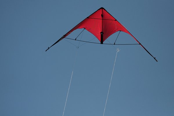 Red kite: Red kite