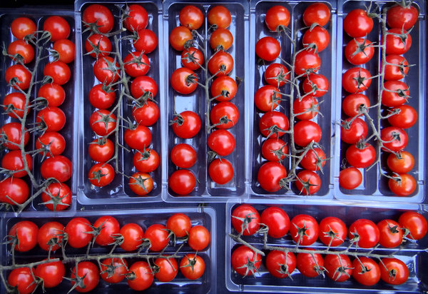 cherry tomatoes1