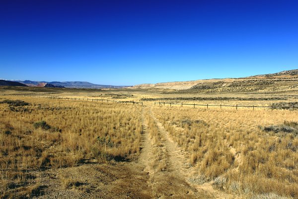 Plains Path