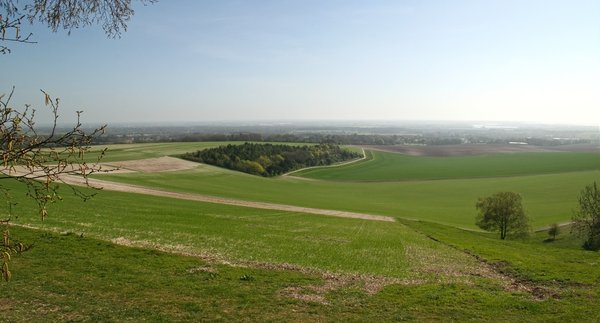 South Downs spring