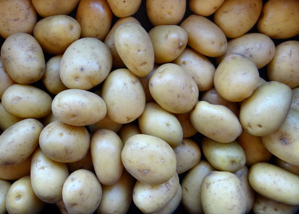 aardappelen in bulk1: 