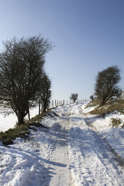 Snowy track