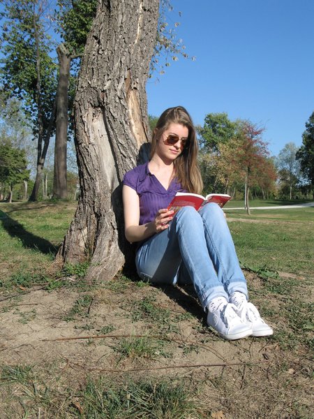 under the tree